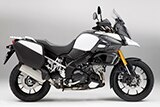 2014 DL1000.jpg